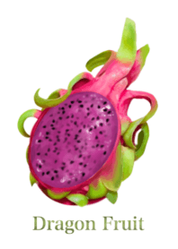 Tropical Dragon Fruit 13