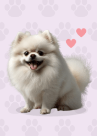 Cute Pomeranian Theme Purple 03
