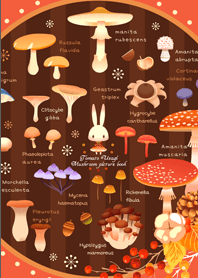 Tomato Usagi -Mushroom picture book-