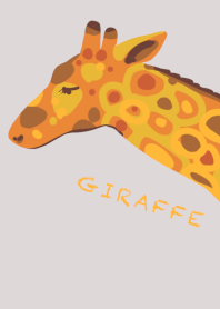 Giraffe animals