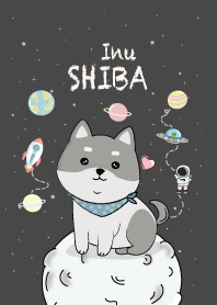 Shiba 3