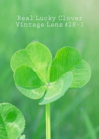Real Lucky Clover Vintage L...