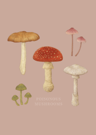 POISONOUS MUSHROOMS / ASH ROSE