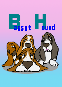 Hello Basset Hound Part 2