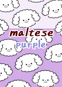 maltese dog theme15 purple