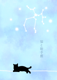 【12星座】射手座と猫