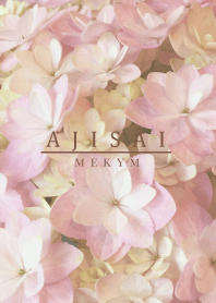 AJISAI - Natural Flower - 3