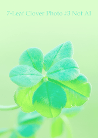 7-Leaf Clover Photo #3-14Not AI