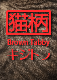 Cat pattern [brown tabby]