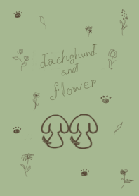 Dachshund dog&flower