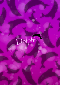 Performing dolphins 2