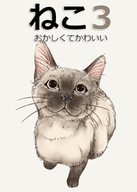 猫 面白いとかわいい 3