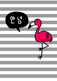 やっぱり韓国が好き31