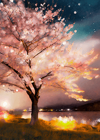 Beautiful night cherry blossoms#572