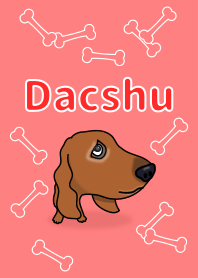 Dachs1