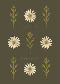 BOTANICAL - MARGUERITE / OLIVE GREEN
