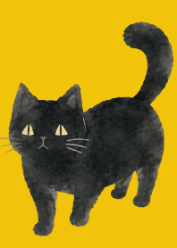 A unique cat04 yellow