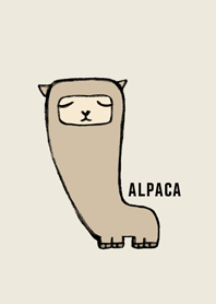 Lovely alpaca