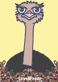 Ostrich time! Chocolate sweets