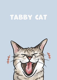 tabbycat4 / baby blue