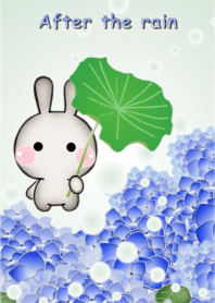 雨あがり