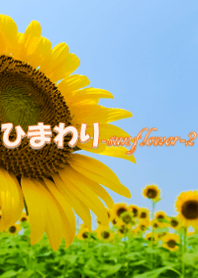 ひまわり-sunflower-2 ver.2