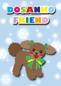 RUBY&FRIEND [toy poodle/apricot]Snow