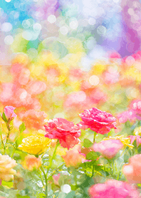 Beautiful rose flower(R3654)