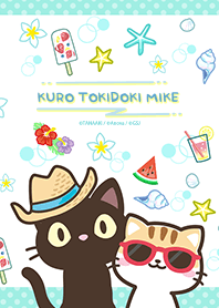 Black cat and Calico cat summer