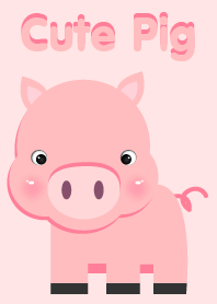 Simple Cute pig theme