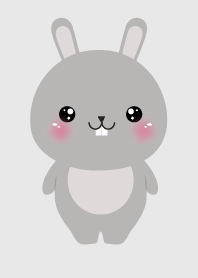 Face Gray Rabbit Theme