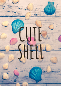 CUTE SHELL