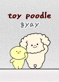 toy poodle dog theme1 gray