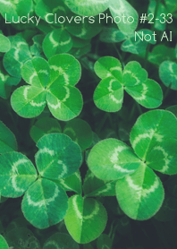 Lucky Clovers Photo#2-33Not AI