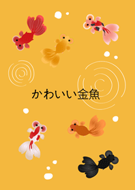 我養的泡泡眼金魚(日出黃色)