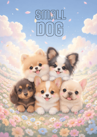 Kawiii Small Dog Gang In Flower
