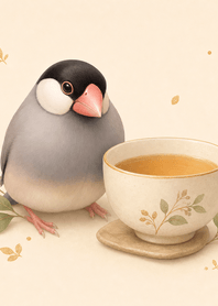 文鳥柔茶時光