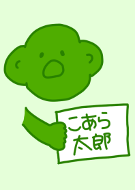 Koara Taro Green 6