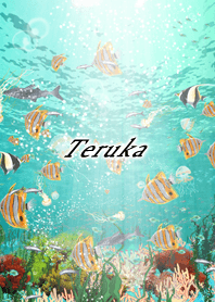 Teruka Coral & tropical fish2
