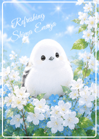 Greige Refreshing Summer Shima Enaga