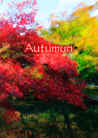 Autumn -warm color-