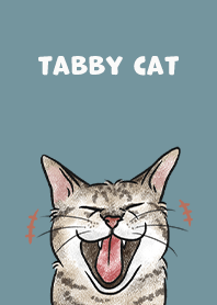 tabbycat4 / teal blue