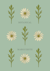 BOTANICAL - MARGUERITE / GREEN
