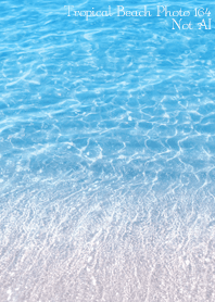 Tropical Beach Photo164 Not AI