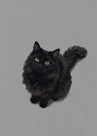 Black Cat Black theme
