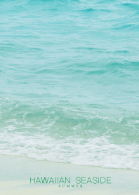 HAWAIIAN-SEASIDE SHELL 20