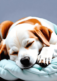 Mountain, Sea, and Moonlit Night ef26cc