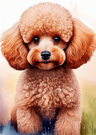 I love toy poodles! Vol.1