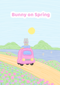 Bunny on Spring (correct)