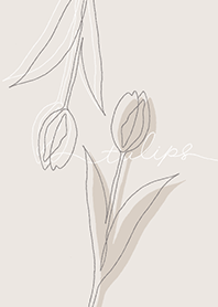 SIMPLE FLOWER - チューリップ -